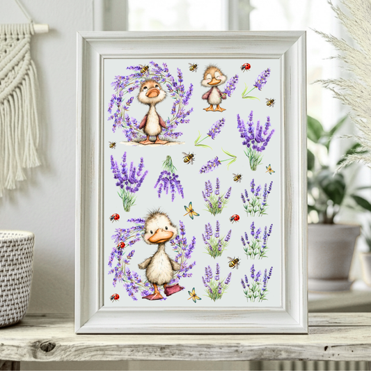 Rub On randlos •Lavendel• A5 Bogen