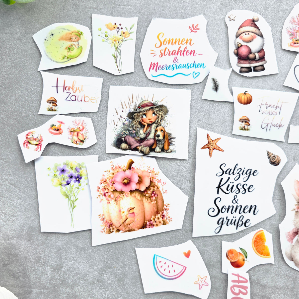 Rub-On Wundertüte Set 10 – ca. 24 Einzelmotive aus aktuellen Kollektionen (Limited Edition)