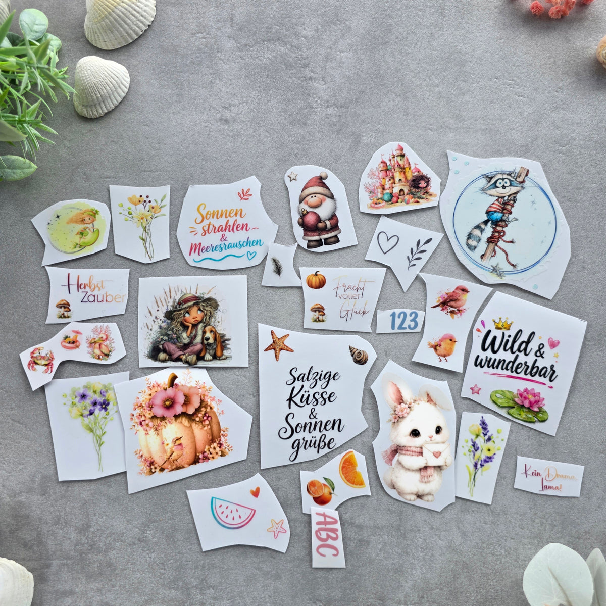 Rub-On Wundertüte Set 10 – ca. 24 Einzelmotive aus aktuellen Kollektionen (Limited Edition)